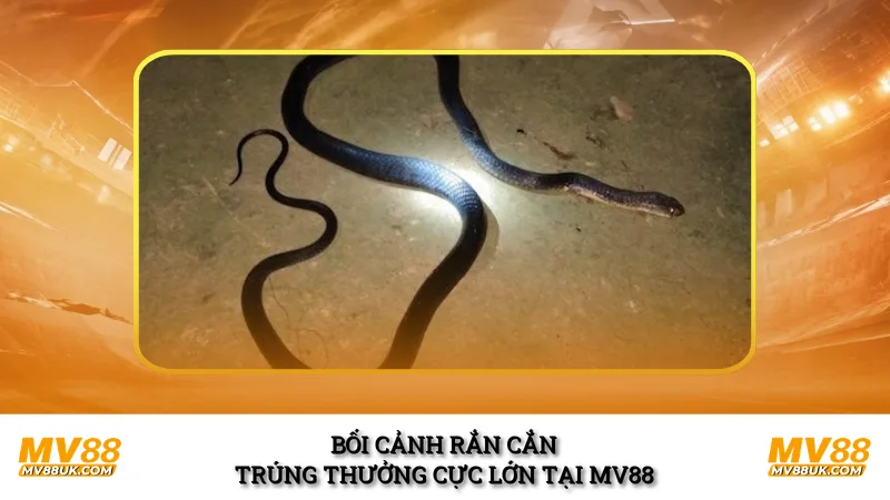 Bối cảnh rắn cắn trúng thưởng cực lớn tại MV88