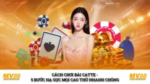 Cách Chơi Bài Catte
