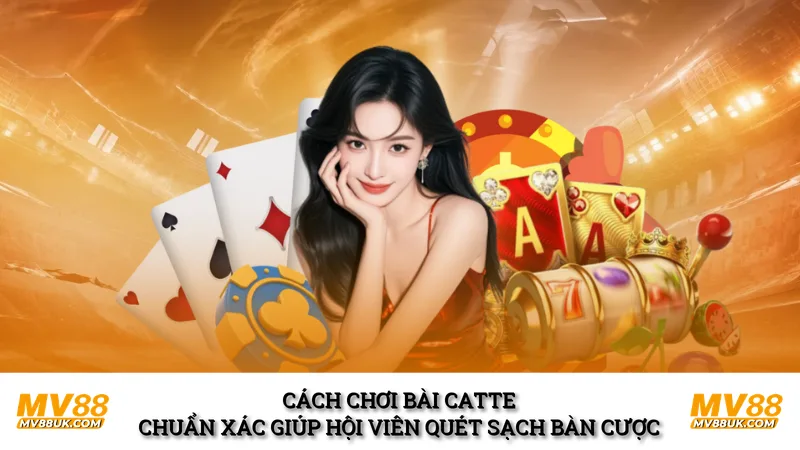 Cách chơi bài catte chuẩn xác giúp hội viên quét sạch bàn cược 