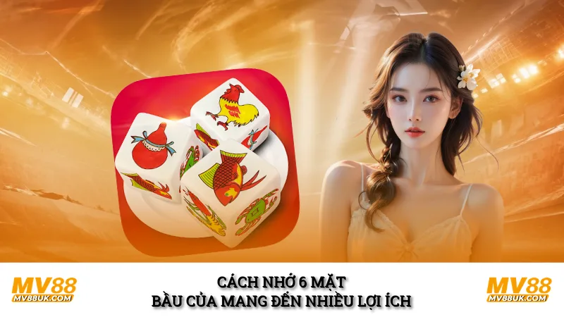 Cách nhớ 6 mặt bầu của mang đến nhiều lợi ích