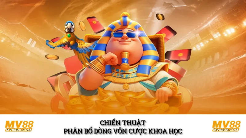 Chiến thuật phân bổ dòng vốn cược khoa học