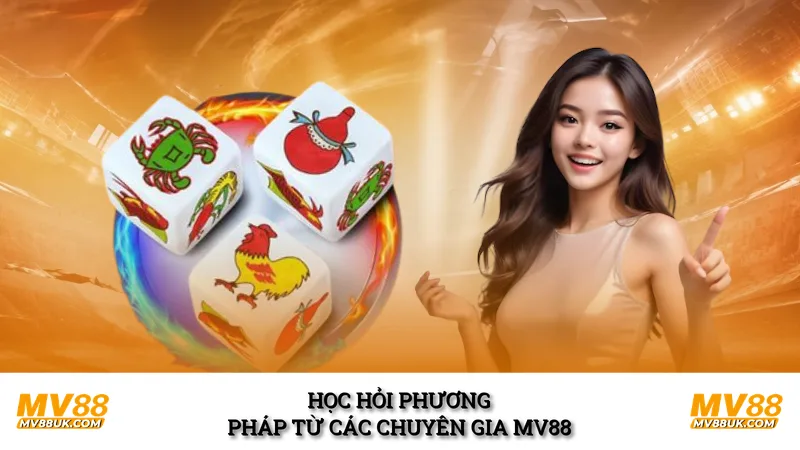 Học hỏi phương pháp từ các chuyên gia MV88