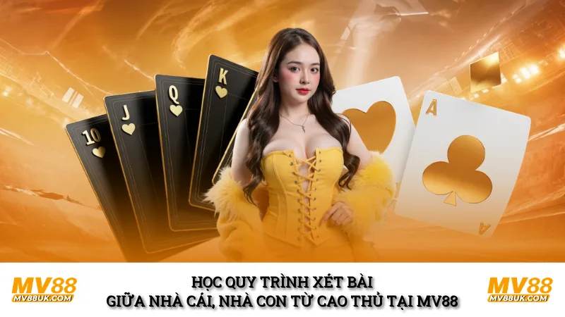 Học quy trình xét bài giữa nhà cái, nhà con từ cao thủ tại MV88