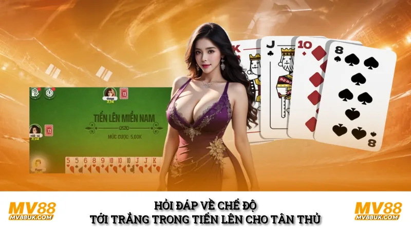 Hỏi đáp về chế độ tới trắng trong tiến lên cho tân thủ