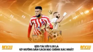 Kèo Tài Xỉu 2.25 Là Gì? Hướng Dẫn Cách Đọc Cho Tân Thủ 
