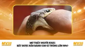 Mơ Thấy Người Khác Bắt Được Rắn Đánh Con Gì Trúng Lớn 99%?