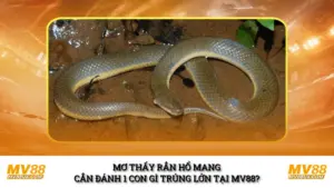 Mơ Thấy Rắn Hổ Mang Cắn Đánh 1 Con Gì Trúng Lớn Tại MV88?