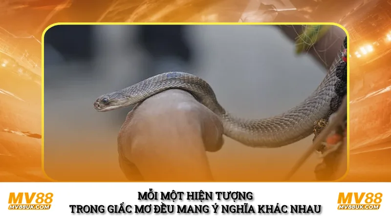Mỗi một hiện tượng trong giấc mơ đều mang ý nghĩa khác nhau