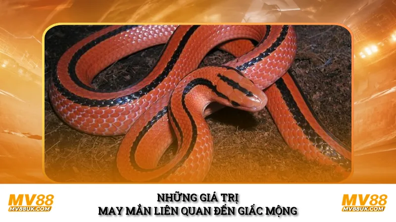 Những giá trị may mắn liên quan đến giấc mộng