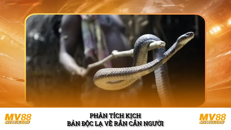 Phân tích kịch bản độc lạ về rắn cắn người