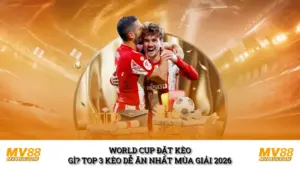 World Cup Đặt Kèo Gì? Top 3 Kèo Dễ Ăn Nhất Mùa Giải 2026 