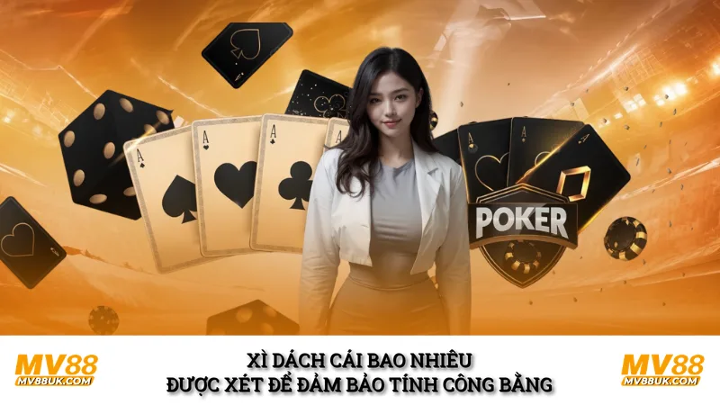 Xì dách cái bao nhiêu được xét để đảm bảo tính công bằng