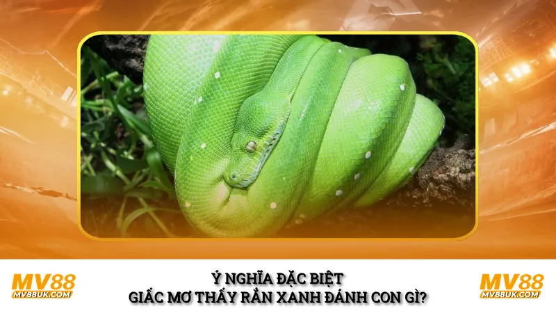 Ý nghĩa đặc biệt giấc mơ thấy rắn xanh đánh con gì?
